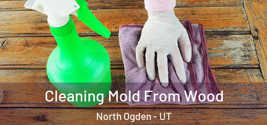  Cleaning Mold From Wood North Ogden - UT