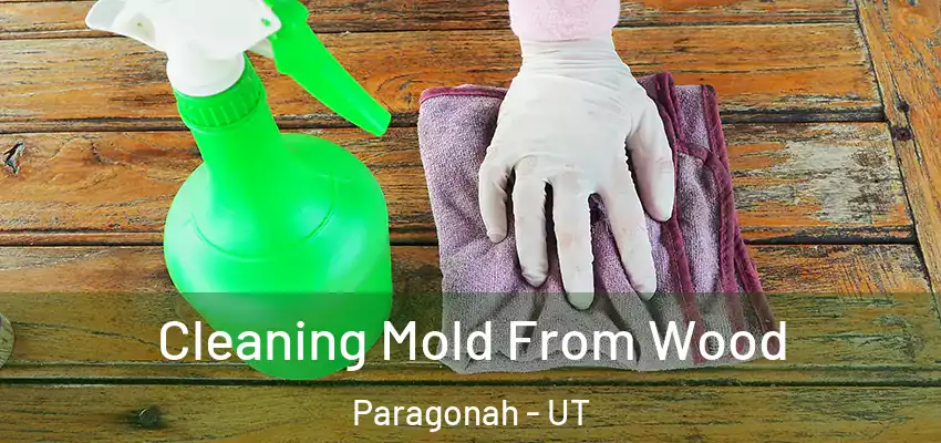 Cleaning Mold From Wood Paragonah - UT