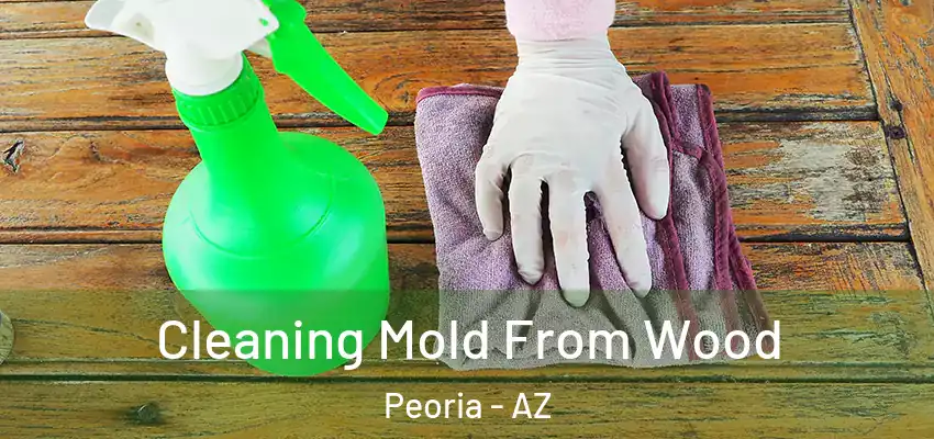 Cleaning Mold From Wood Peoria - AZ