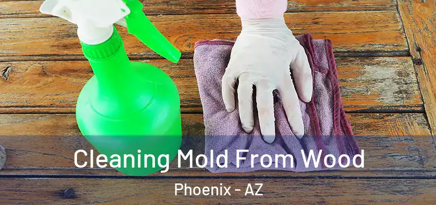  Cleaning Mold From Wood Phoenix - AZ