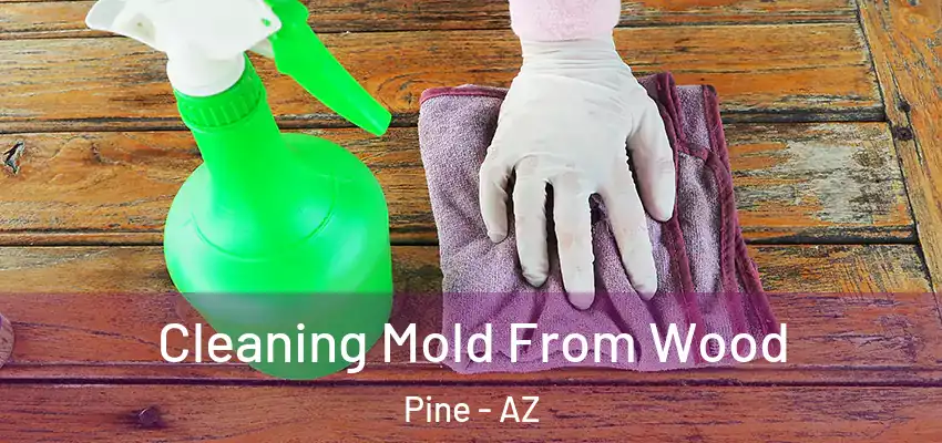  Cleaning Mold From Wood Pine - AZ
