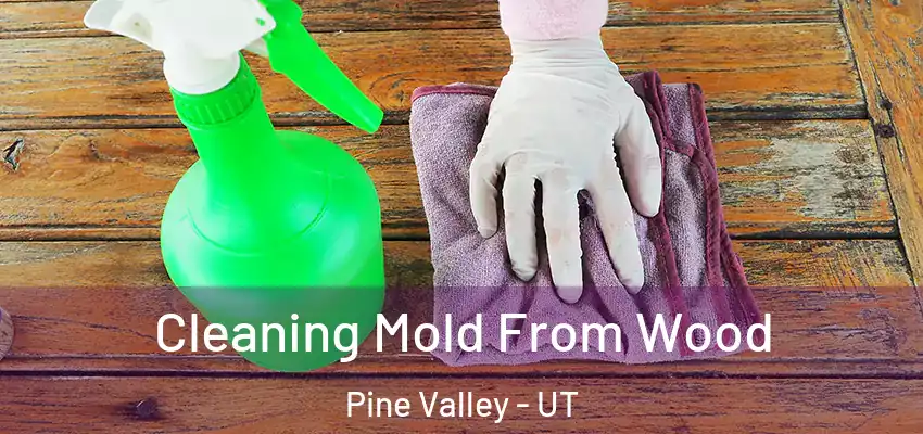  Cleaning Mold From Wood Pine Valley - UT
