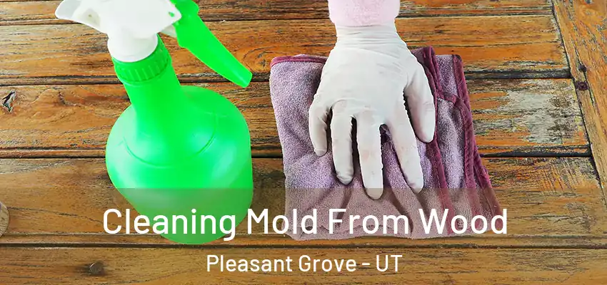  Cleaning Mold From Wood Pleasant Grove - UT