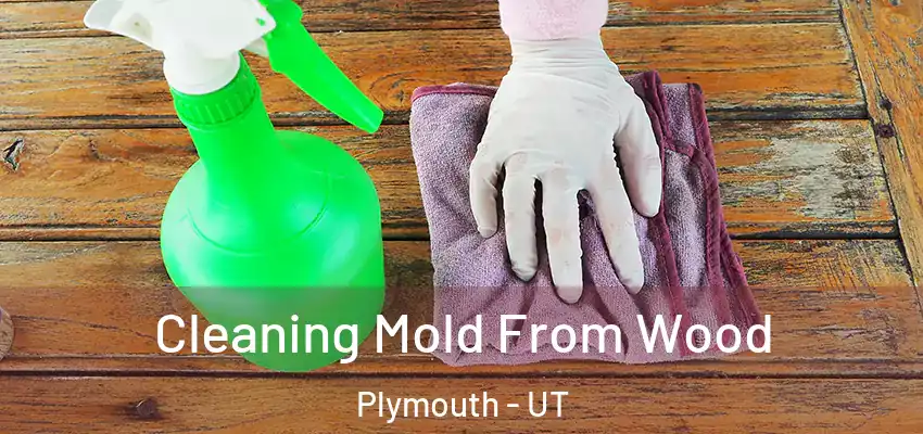  Cleaning Mold From Wood Plymouth - UT