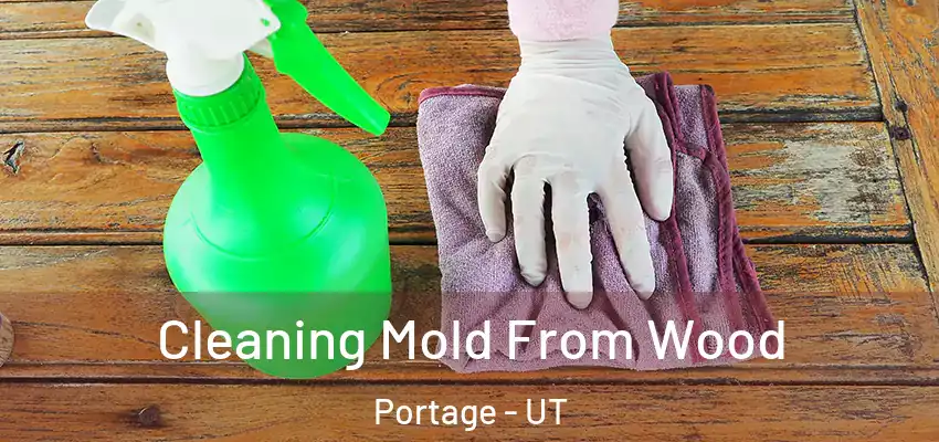  Cleaning Mold From Wood Portage - UT