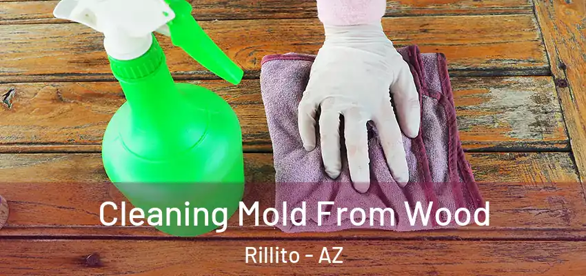 Cleaning Mold From Wood Rillito - AZ