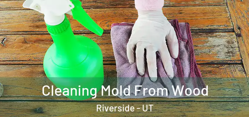  Cleaning Mold From Wood Riverside - UT