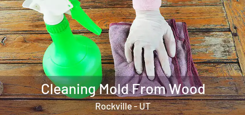  Cleaning Mold From Wood Rockville - UT