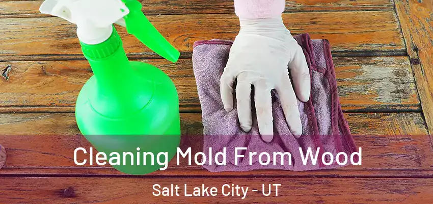  Cleaning Mold From Wood Salt Lake City - UT