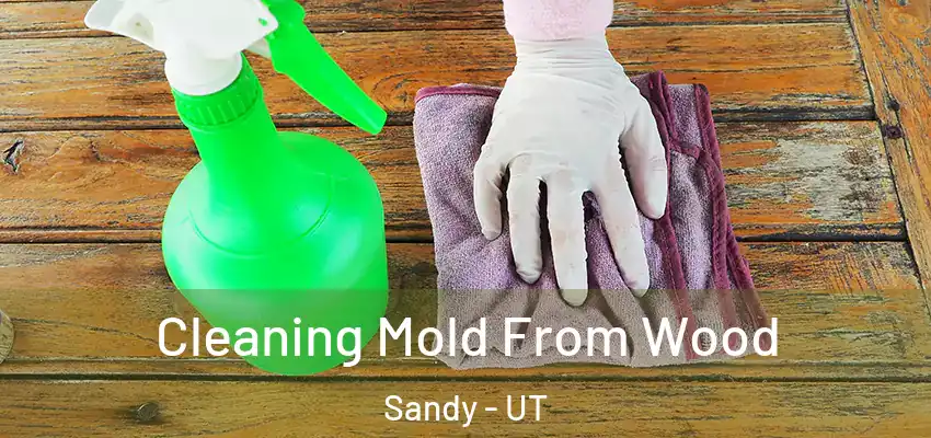  Cleaning Mold From Wood Sandy - UT