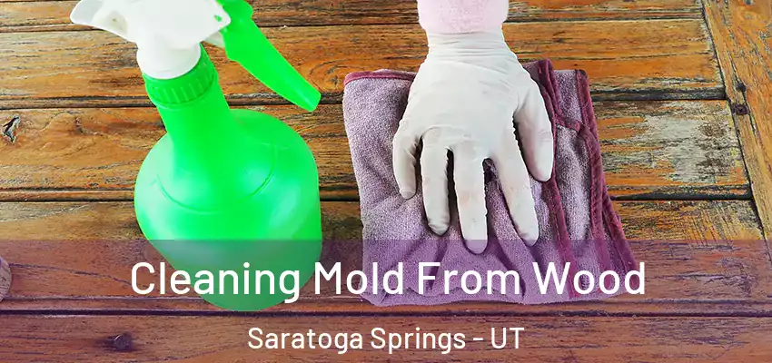  Cleaning Mold From Wood Saratoga Springs - UT