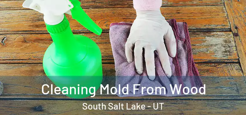  Cleaning Mold From Wood South Salt Lake - UT