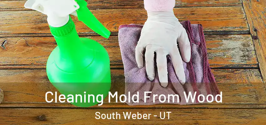  Cleaning Mold From Wood South Weber - UT