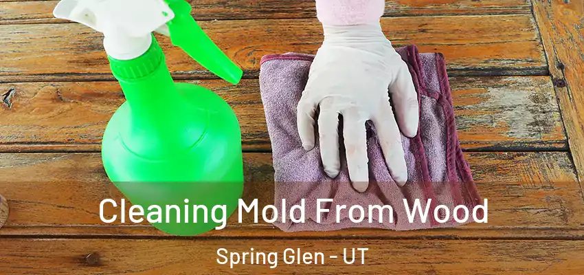  Cleaning Mold From Wood Spring Glen - UT