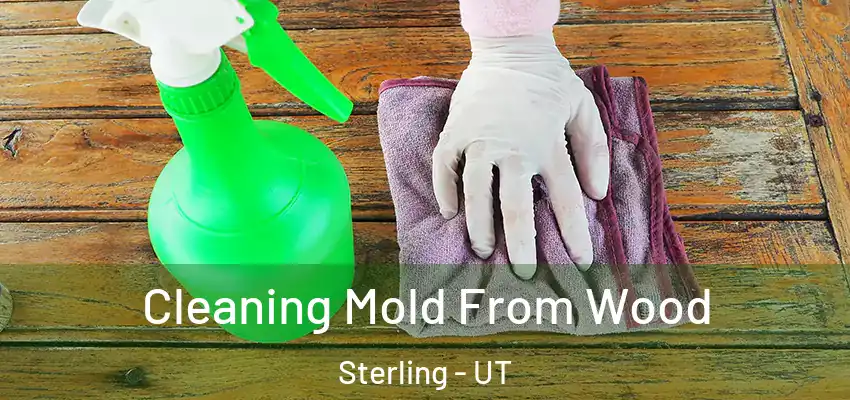  Cleaning Mold From Wood Sterling - UT