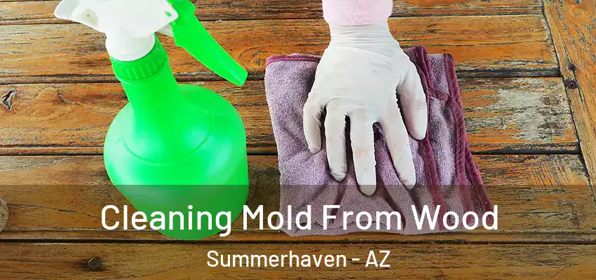  Cleaning Mold From Wood Summerhaven - AZ