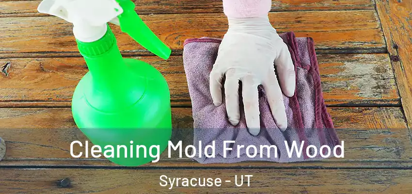  Cleaning Mold From Wood Syracuse - UT