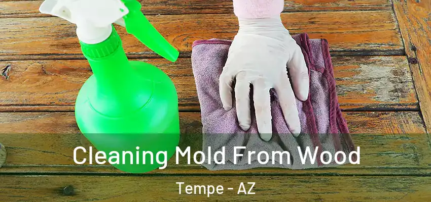  Cleaning Mold From Wood Tempe - AZ