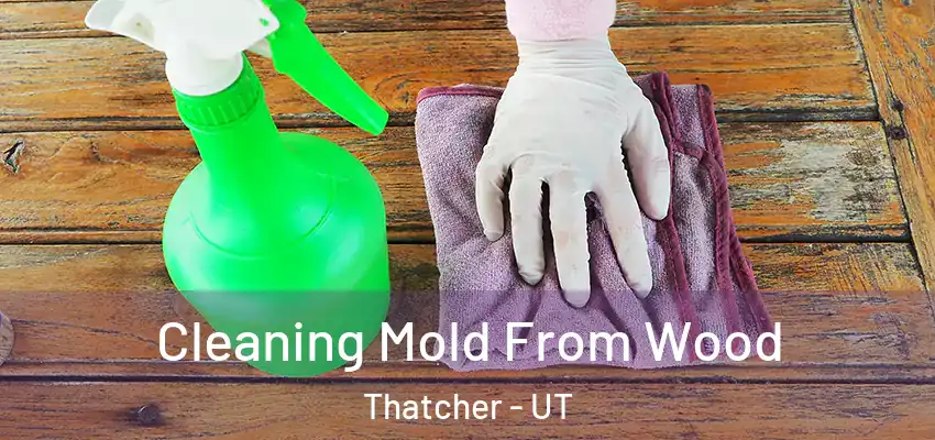  Cleaning Mold From Wood Thatcher - UT