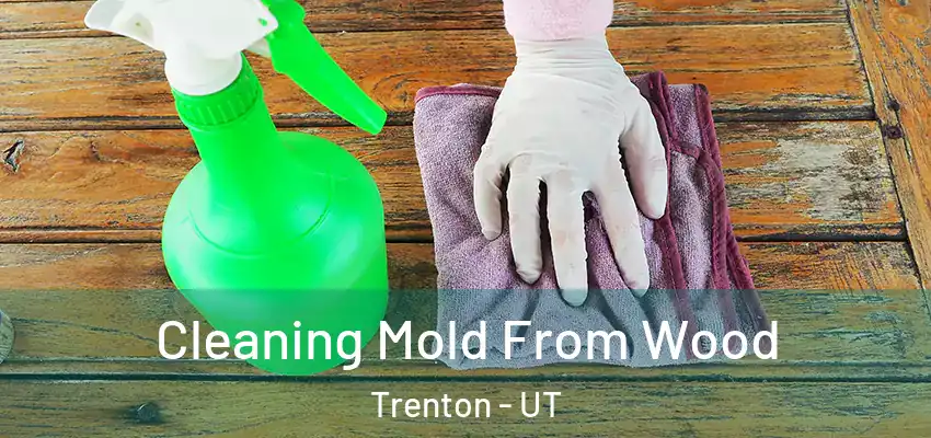  Cleaning Mold From Wood Trenton - UT