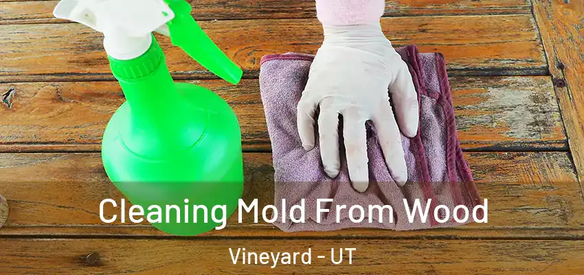  Cleaning Mold From Wood Vineyard - UT