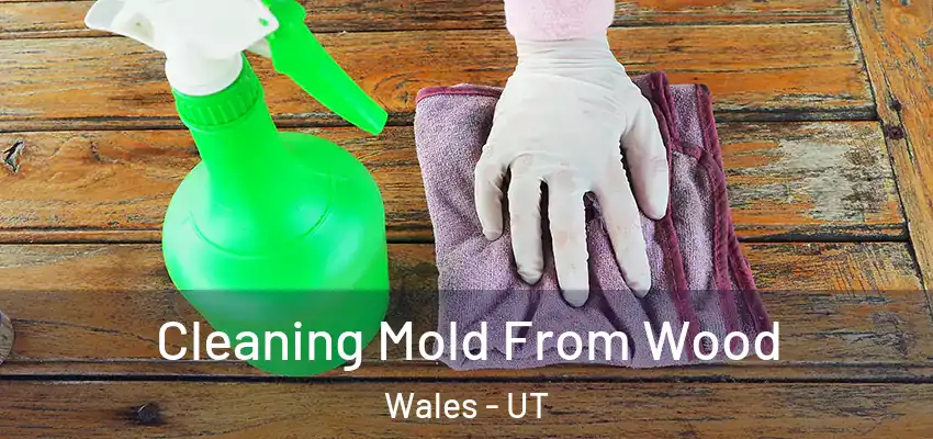 Cleaning Mold From Wood Wales - UT