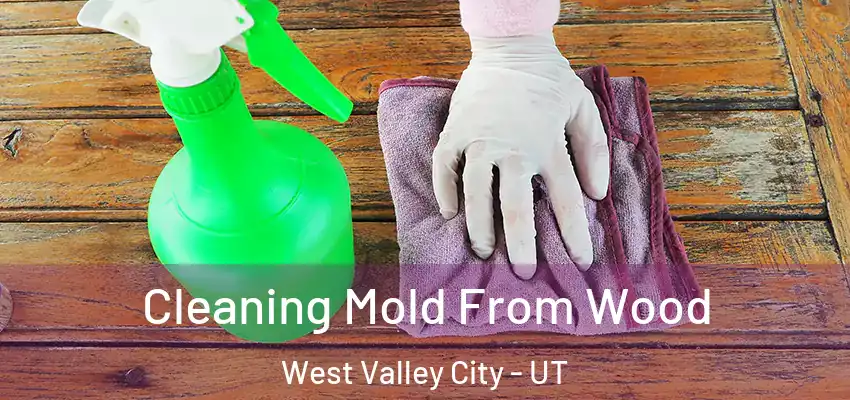  Cleaning Mold From Wood West Valley City - UT