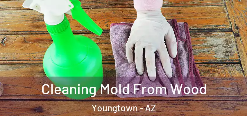  Cleaning Mold From Wood Youngtown - AZ