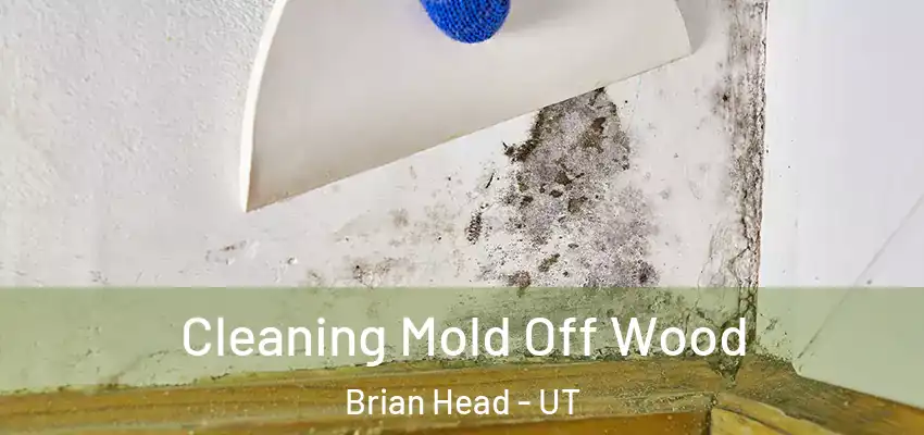  Cleaning Mold Off Wood Brian Head - UT