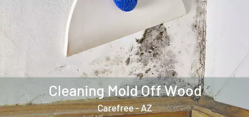  Cleaning Mold Off Wood Carefree - AZ