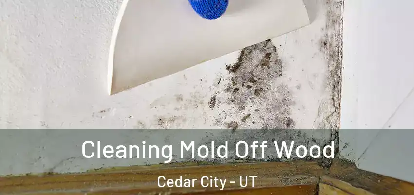 Cleaning Mold Off Wood Cedar City - UT