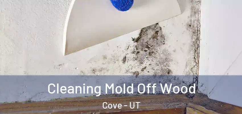  Cleaning Mold Off Wood Cove - UT