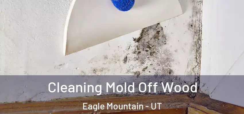  Cleaning Mold Off Wood Eagle Mountain - UT
