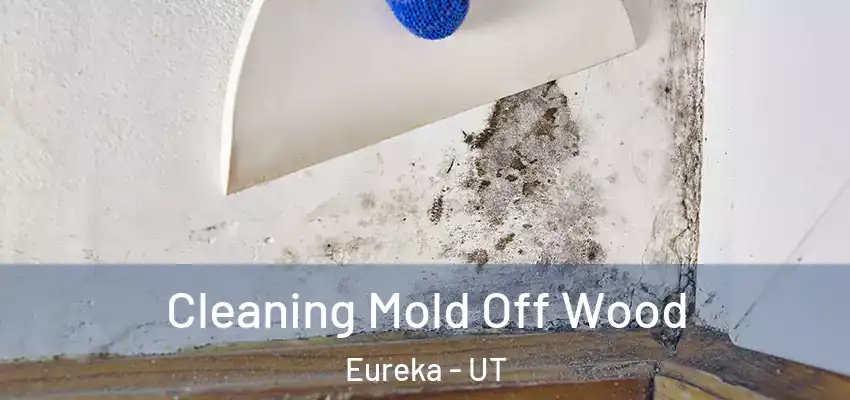  Cleaning Mold Off Wood Eureka - UT
