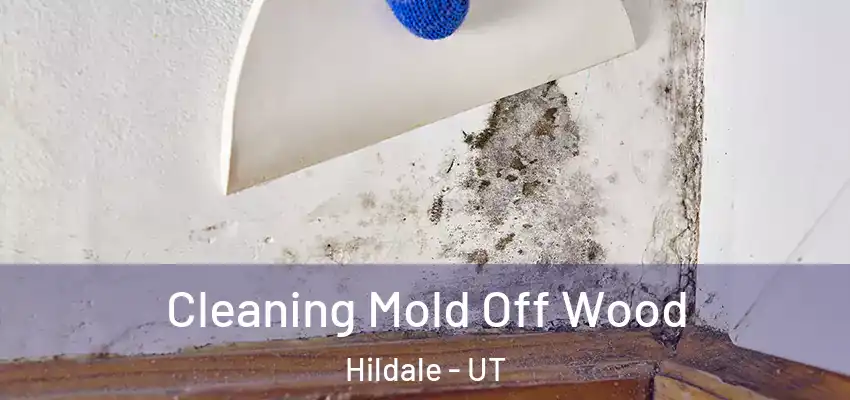  Cleaning Mold Off Wood Hildale - UT