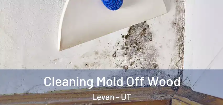  Cleaning Mold Off Wood Levan - UT