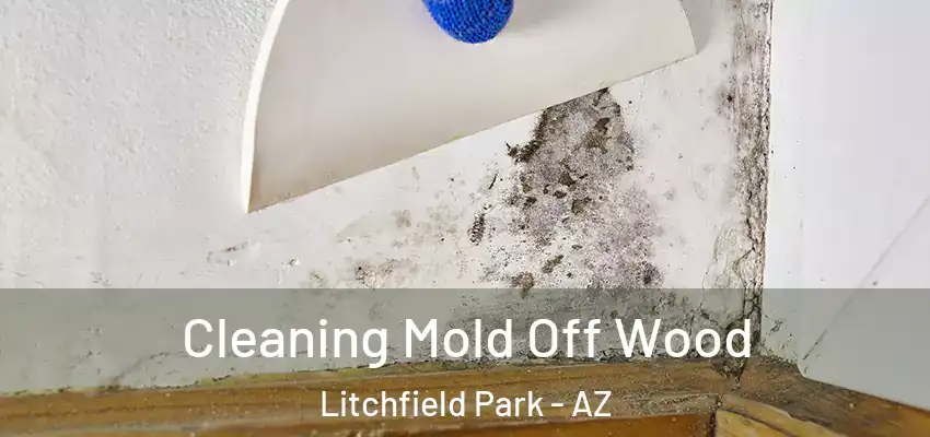  Cleaning Mold Off Wood Litchfield Park - AZ