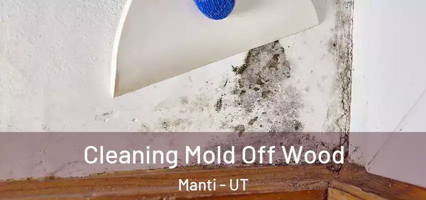  Cleaning Mold Off Wood Manti - UT