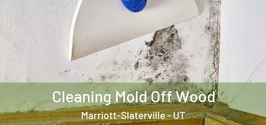  Cleaning Mold Off Wood Marriott-Slaterville - UT