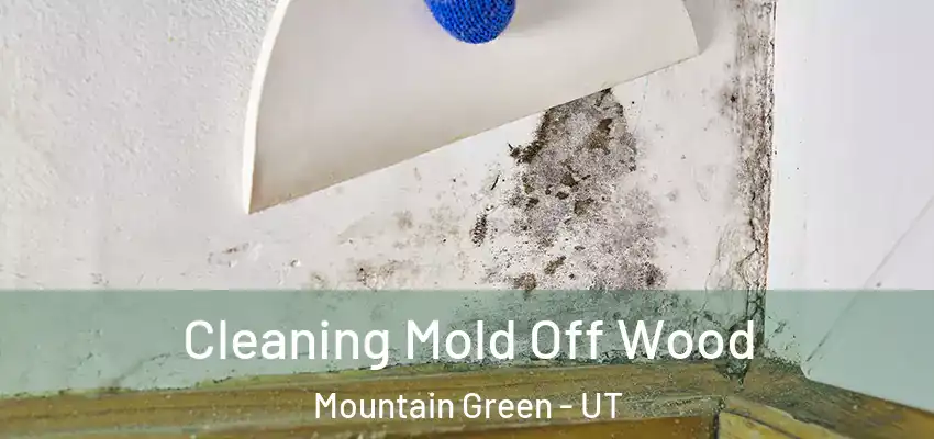  Cleaning Mold Off Wood Mountain Green - UT