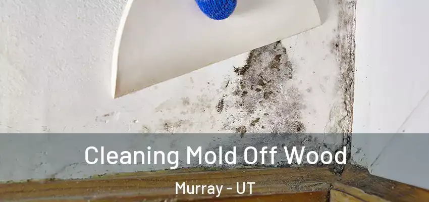  Cleaning Mold Off Wood Murray - UT