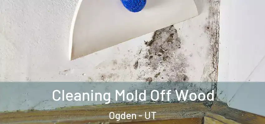  Cleaning Mold Off Wood Ogden - UT