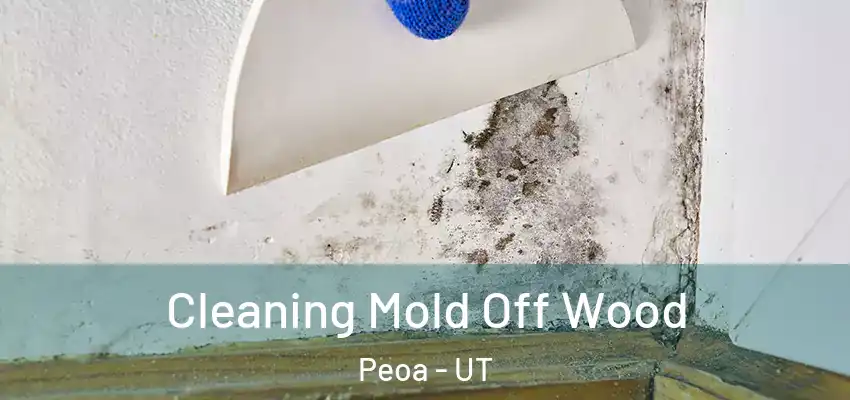  Cleaning Mold Off Wood Peoa - UT