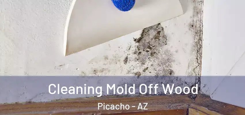  Cleaning Mold Off Wood Picacho - AZ