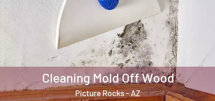  Cleaning Mold Off Wood Picture Rocks - AZ