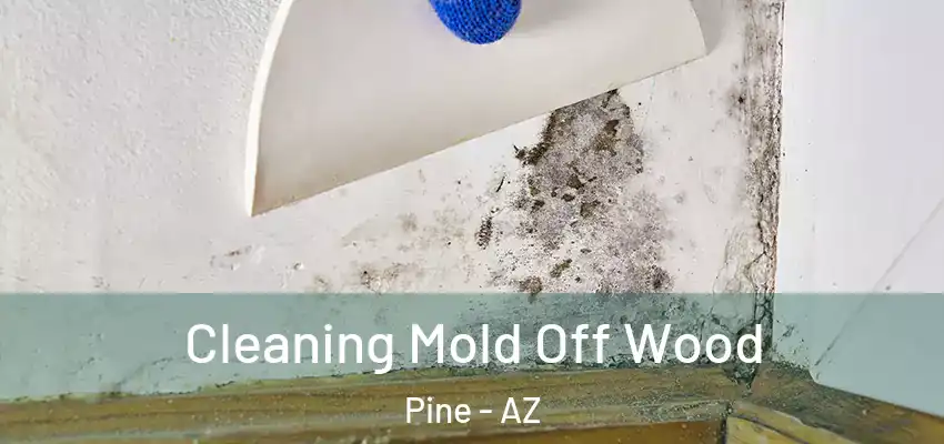  Cleaning Mold Off Wood Pine - AZ