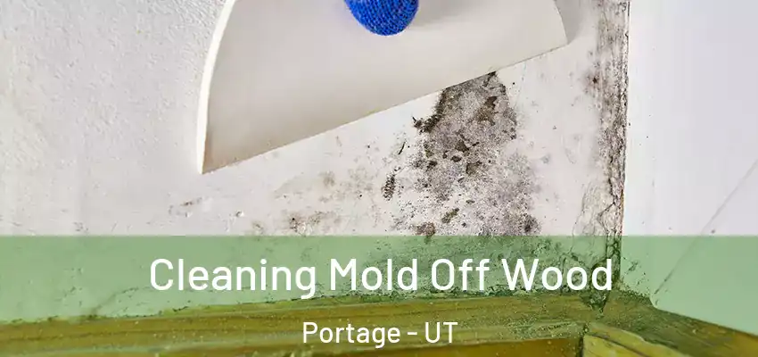  Cleaning Mold Off Wood Portage - UT