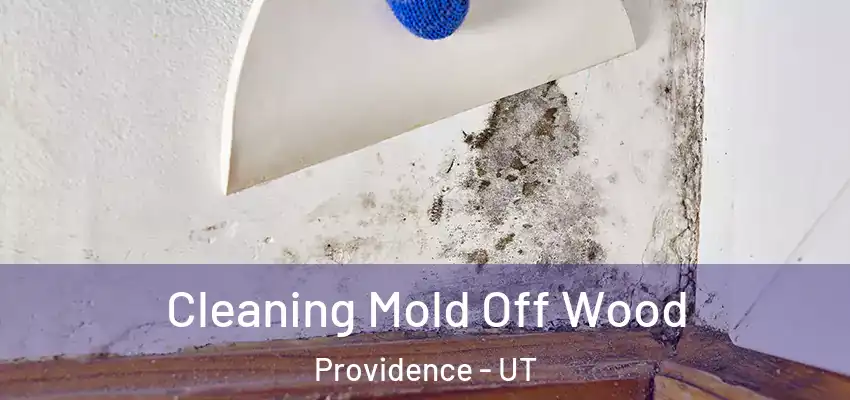  Cleaning Mold Off Wood Providence - UT