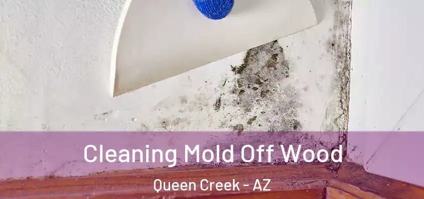  Cleaning Mold Off Wood Queen Creek - AZ