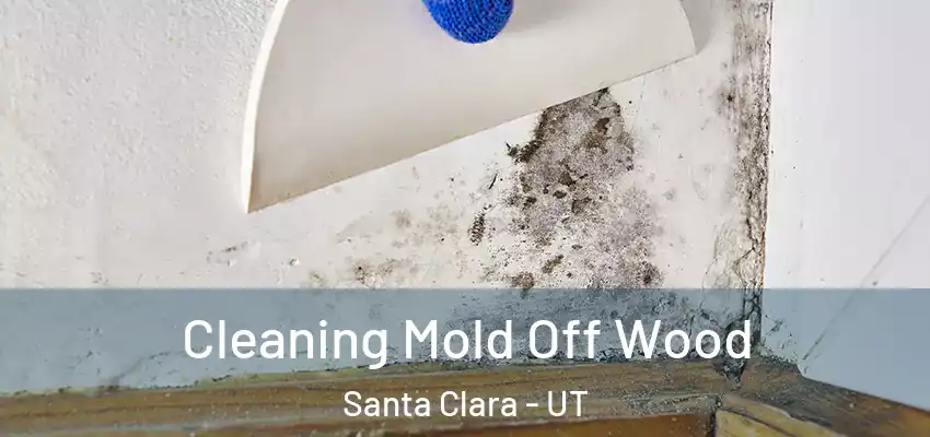  Cleaning Mold Off Wood Santa Clara - UT